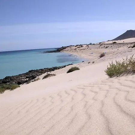 Lejlighed Loft In Corralejo